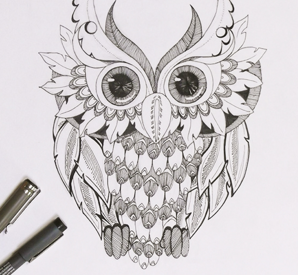 illustration vectorielle hibou maimouna mohamed ali