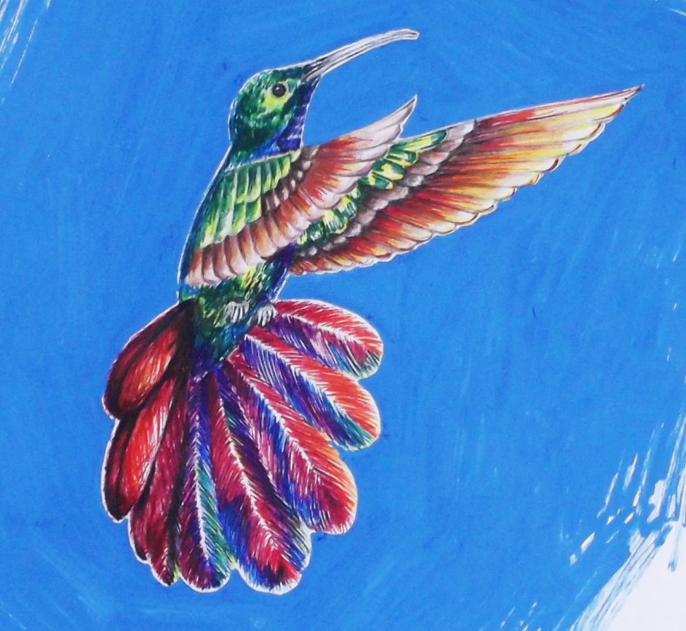 illustration-maimouna