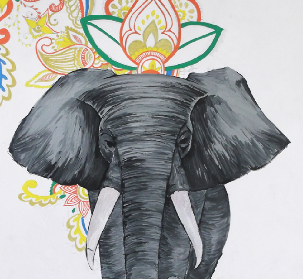 illustration maimouna mohamed ali