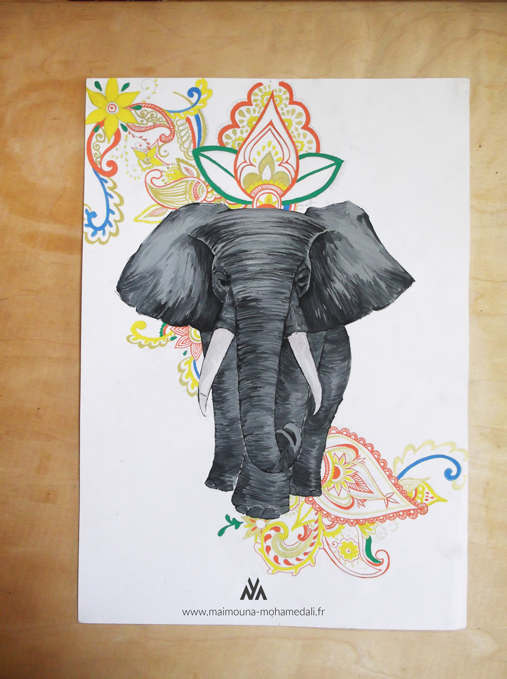 éléphant maimouna mohamed ali